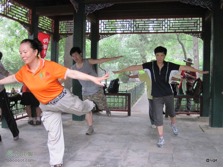 海登香山老爷沟打鹰洼新望京樱桃沟植物园20110806IMG_4481