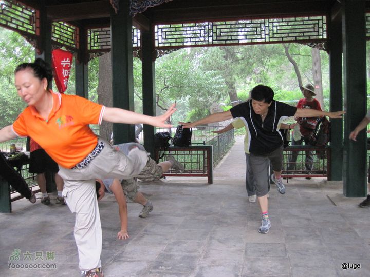 海登香山老爷沟打鹰洼新望京樱桃沟植物园20110806IMG_4482