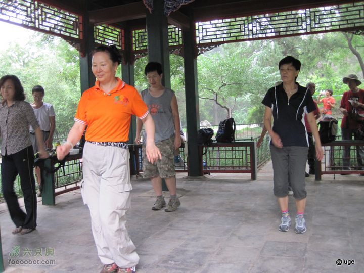 海登香山老爷沟打鹰洼新望京樱桃沟植物园20110806IMG_4483