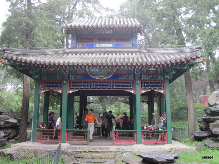 海登香山老爷沟打鹰洼新望京樱桃沟植物园20110806IMG_4484