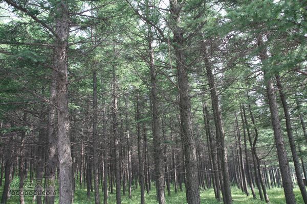 军马场-七星湖IMG_0834