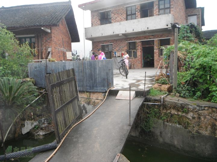 新邵坪上conew_dscf3544