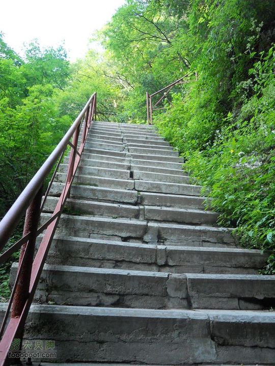 朱雀森林公园DSCN0553