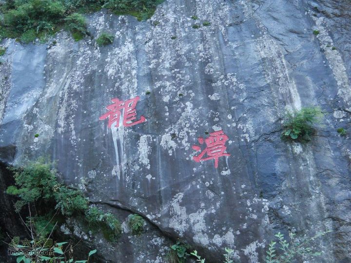 朱雀森林公园DSCN0554