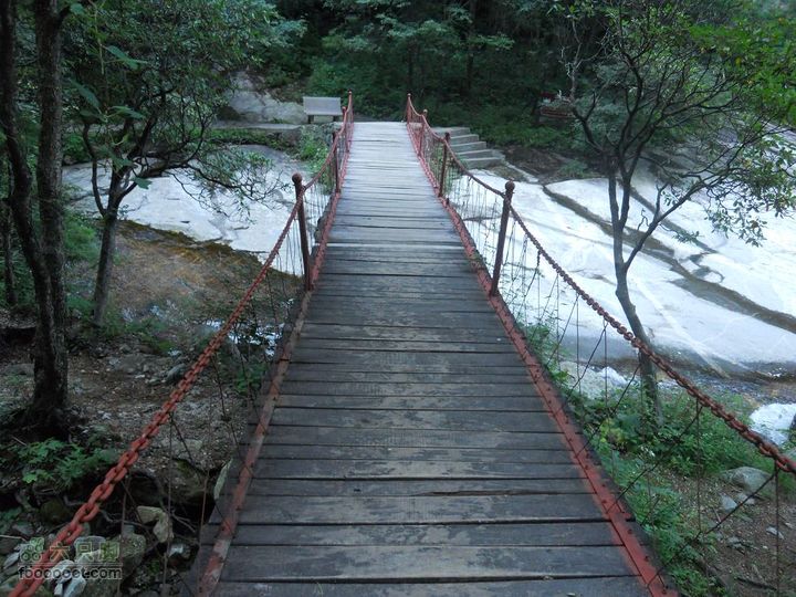 朱雀森林公园DSCN0557