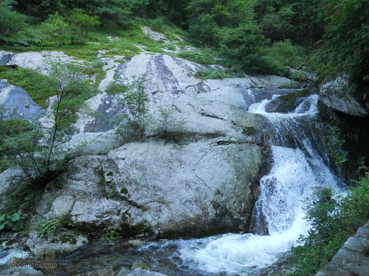 朱雀森林公园DSCN0558