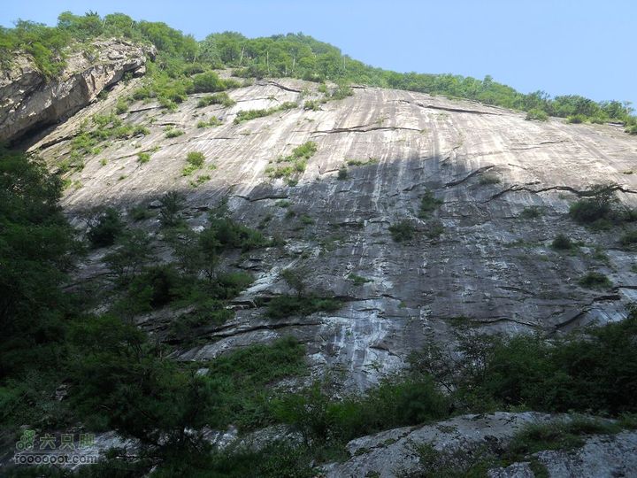 朱雀森林公园DSCN0559