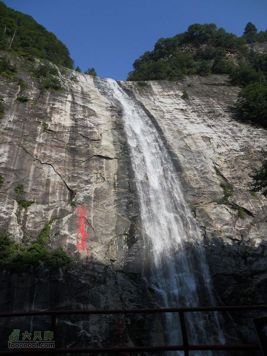 朱雀森林公园DSCN0560