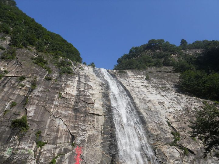 朱雀森林公园DSCN0564