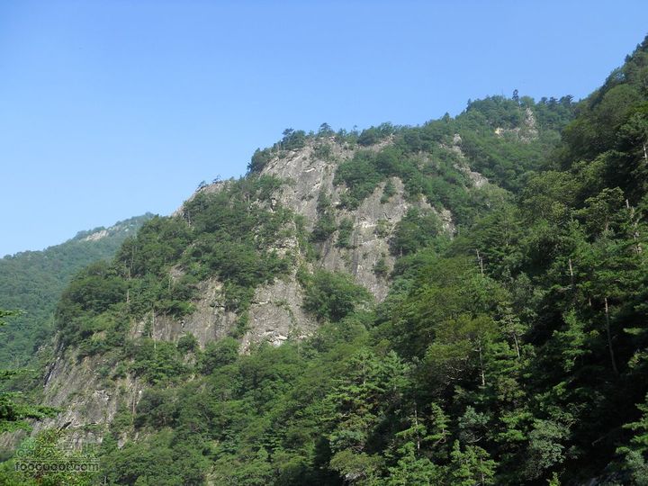 朱雀森林公园DSCN0568