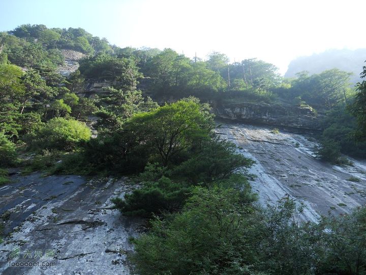 朱雀森林公园DSCN0570