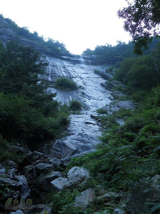 朱雀森林公园DSCN0571