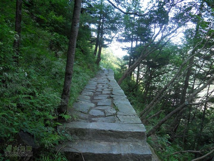 朱雀森林公园DSCN0572