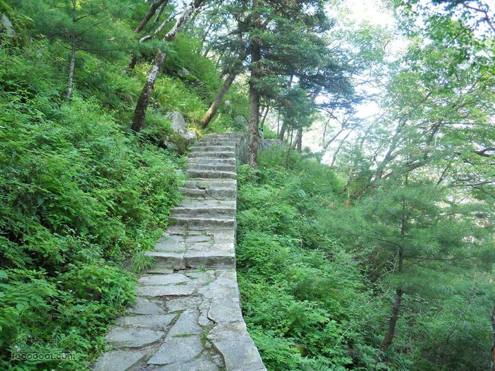 朱雀森林公园DSCN0573