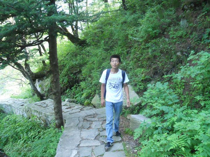 朱雀森林公园DSCN0574