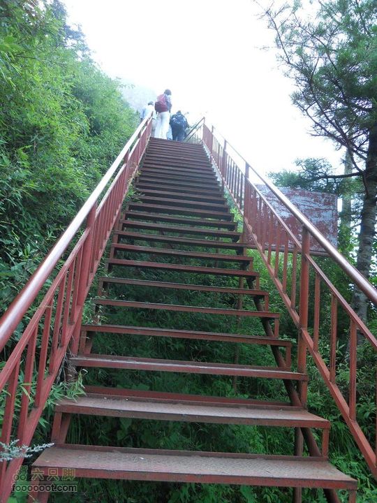 朱雀森林公园DSCN0579