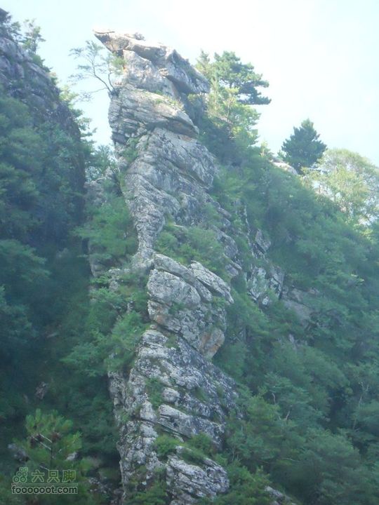 朱雀森林公园DSCN0581