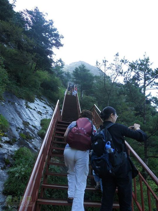 朱雀森林公园DSCN0582