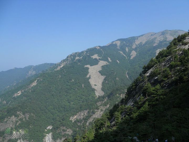 朱雀森林公园DSCN0585