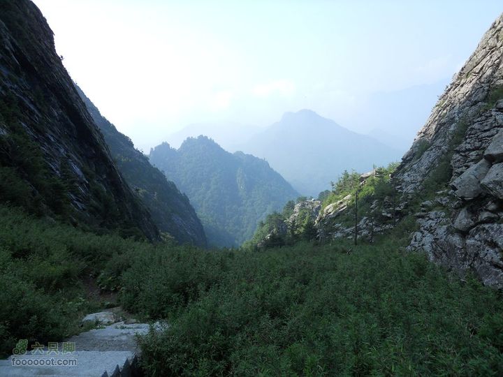 朱雀森林公园DSCN0586