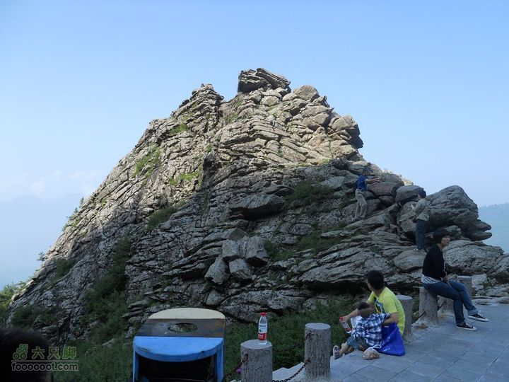 朱雀森林公园DSCN0587