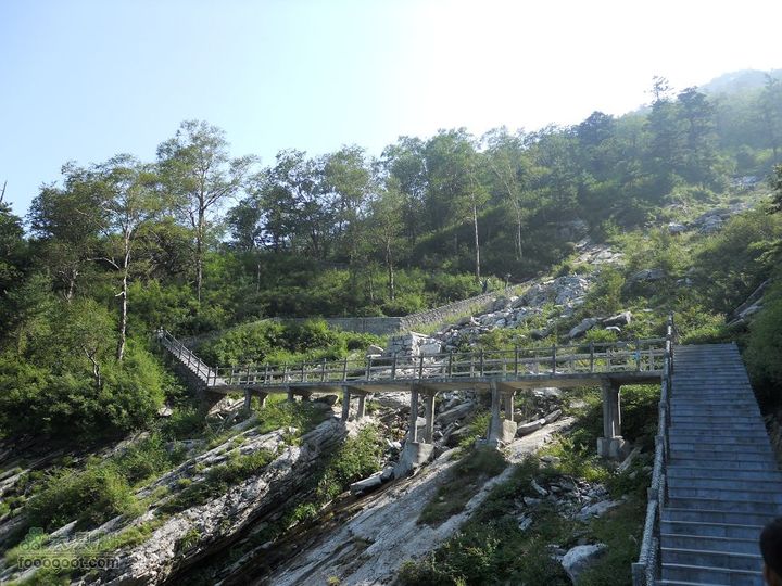 朱雀森林公园DSCN0590