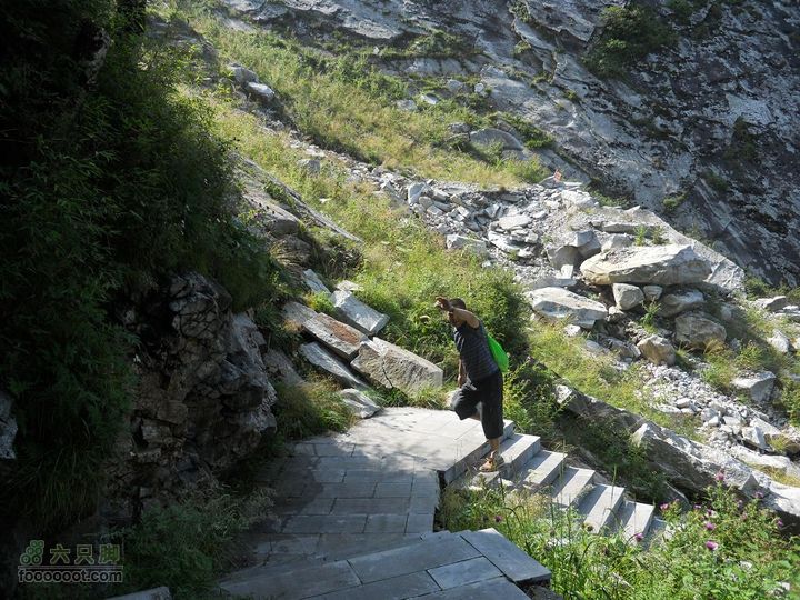 朱雀森林公园DSCN0591