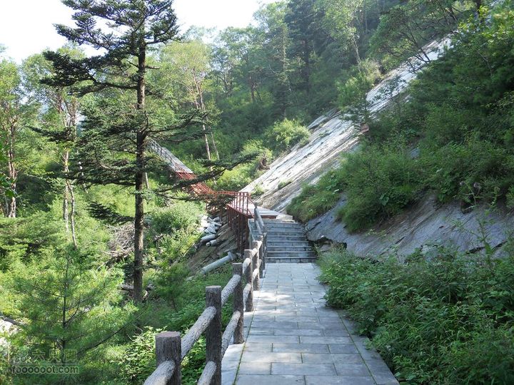 朱雀森林公园DSCN0592