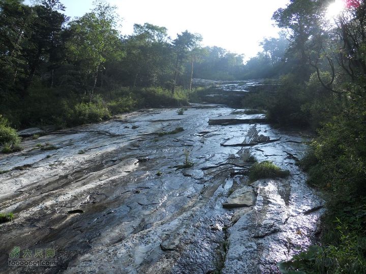 朱雀森林公园DSCN0593