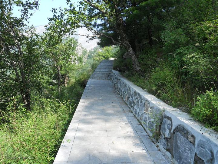 朱雀森林公园DSCN0597