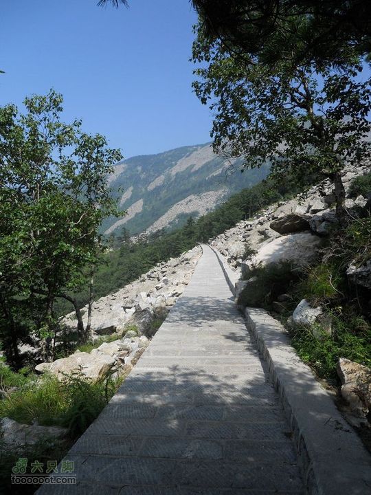 朱雀森林公园DSCN0600