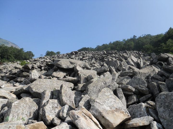 朱雀森林公园DSCN0601