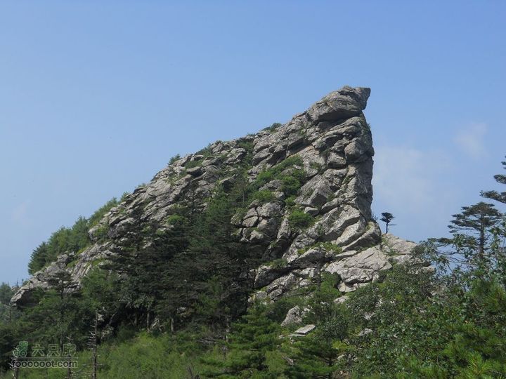 朱雀森林公园DSCN0602