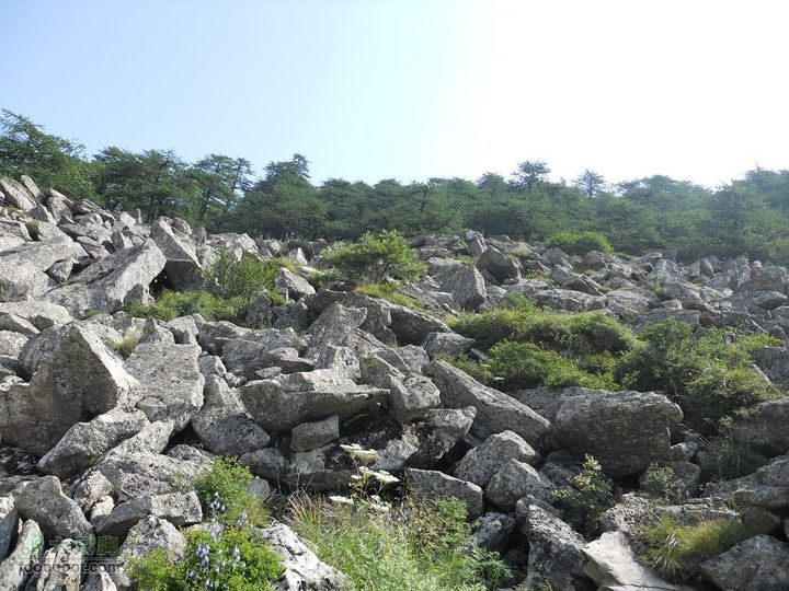 朱雀森林公园DSCN0607