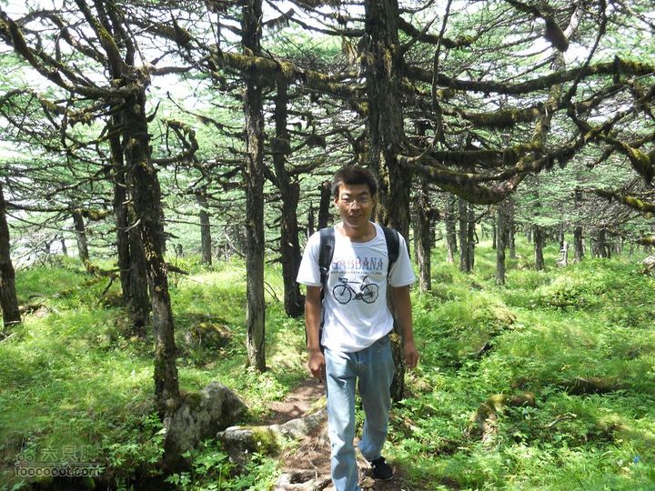 朱雀森林公园DSCN0654