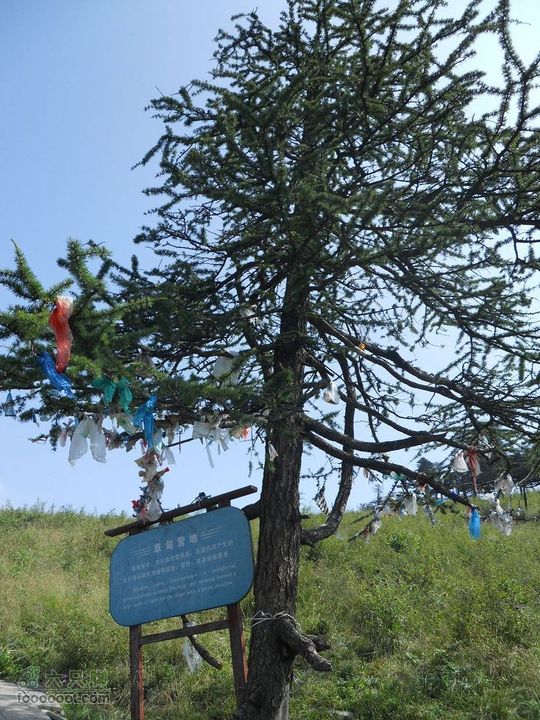 朱雀森林公园DSCN0609