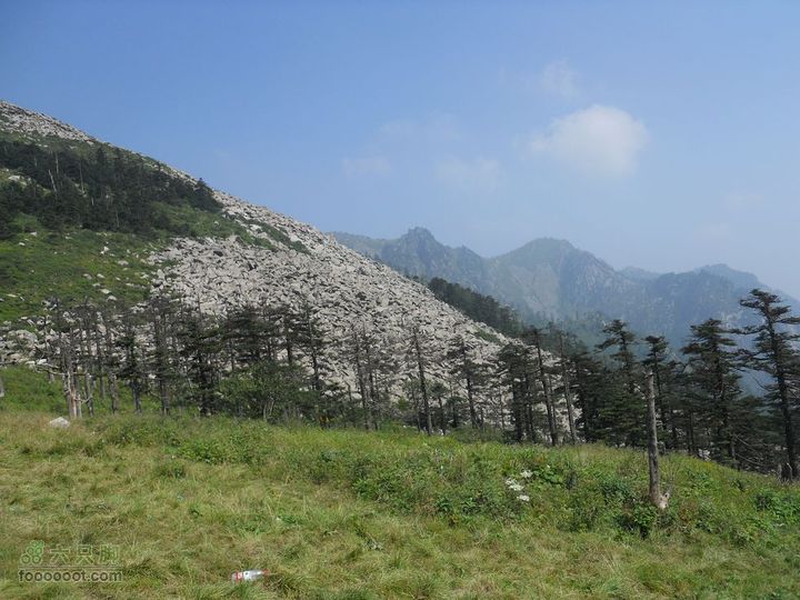 朱雀森林公园DSCN0610