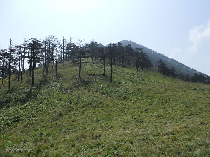 朱雀森林公园DSCN0611