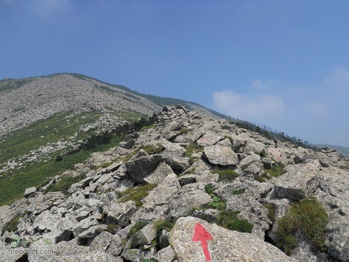 朱雀森林公园DSCN0620