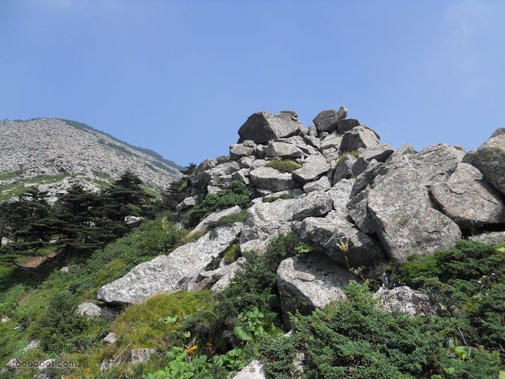 朱雀森林公园DSCN0621