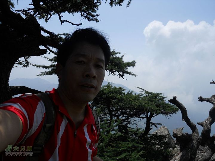 朱雀森林公园DSCN0625