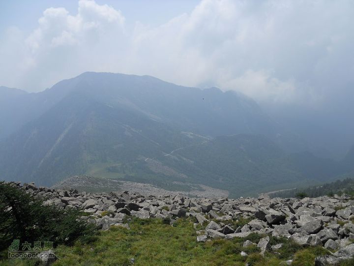 朱雀森林公园DSCN0626