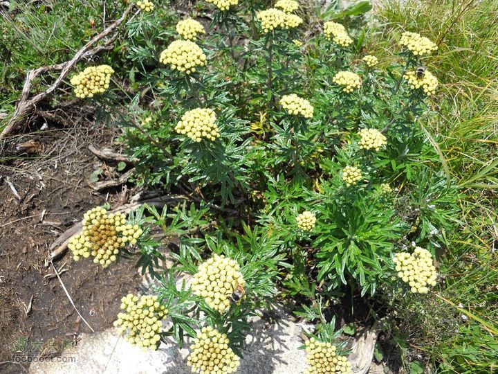 朱雀森林公园DSCN0627