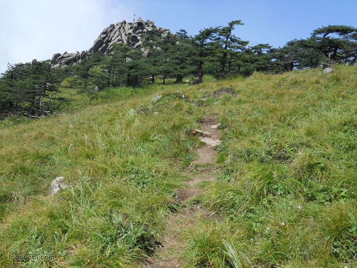 朱雀森林公园DSCN0628