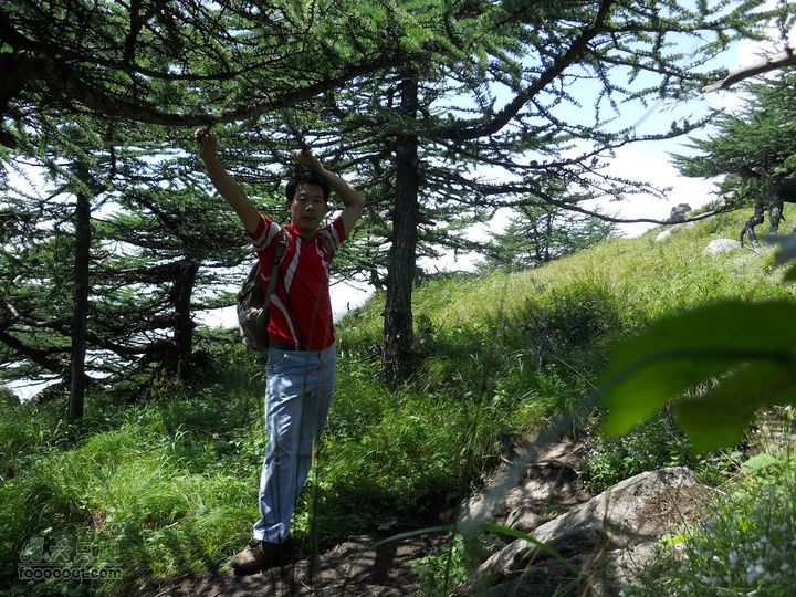 朱雀森林公园DSCN0630