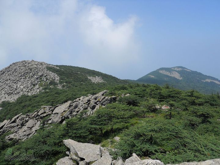 朱雀森林公园DSCN0634