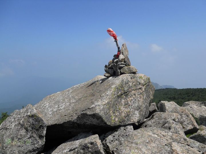 朱雀森林公园DSCN0635