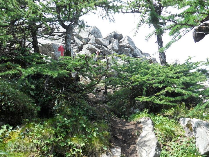 朱雀森林公园DSCN0639