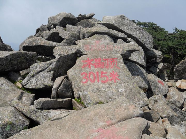 朱雀森林公园DSCN0640