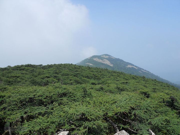 朱雀森林公园DSCN0642